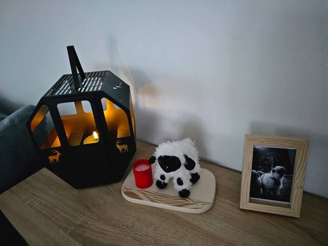 Chouette – photo 3