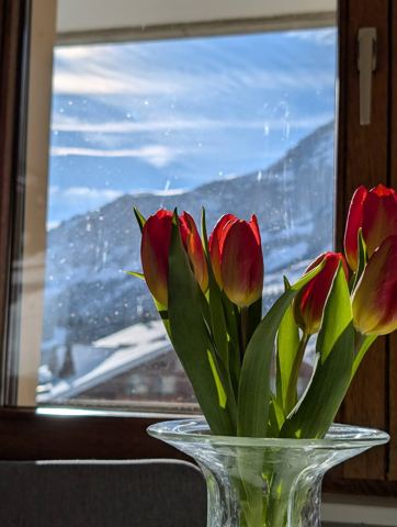 Vue montagnes – photo 3
